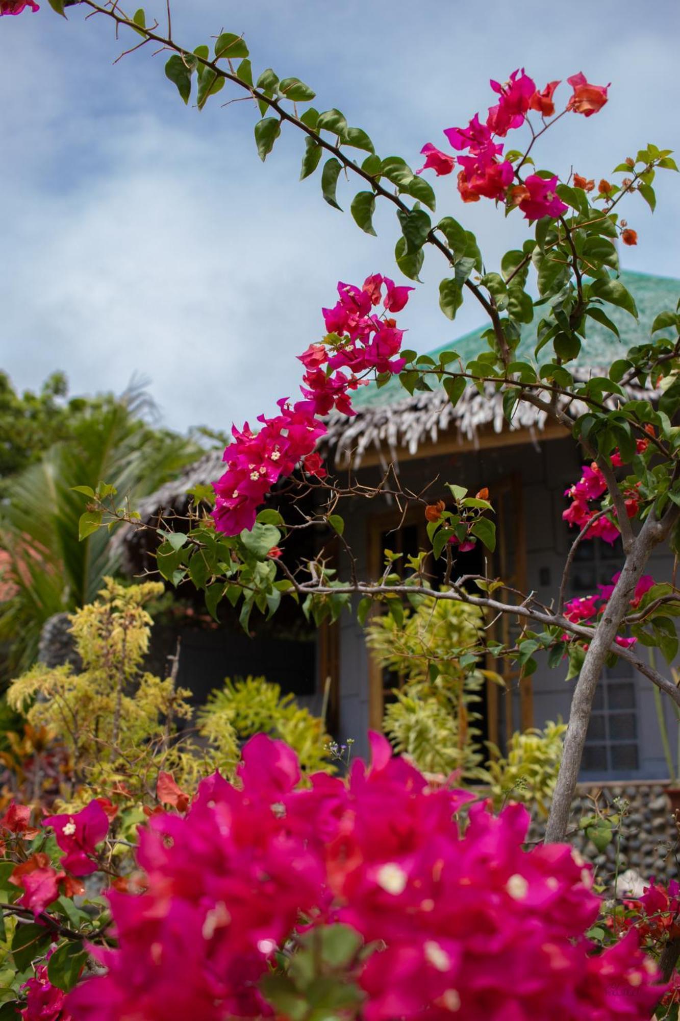 Rhenmart-Inn Siquijor Extérieur photo